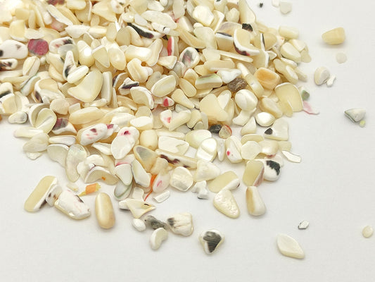 20g/50g Natural Sea Shell Chips Beads Mix Tumbled, No Hole