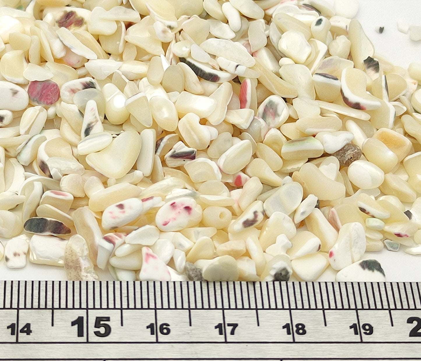 20g/50g Natural Sea Shell Chips Beads Mix Tumbled, No Hole